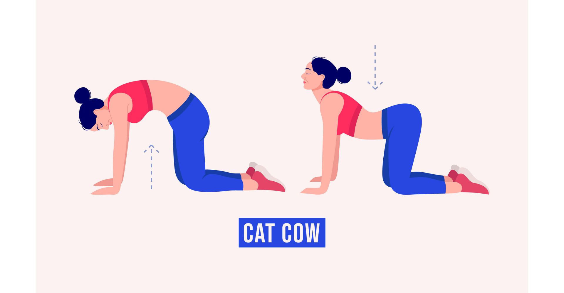 cat-cow stretch